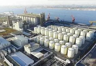 中糧集團在烏克蘭打造現代化糧油樞紐，助推全球供應鏈穩定發展